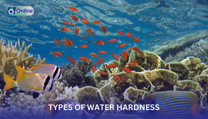 Lesson 04: Types of Water Hardness